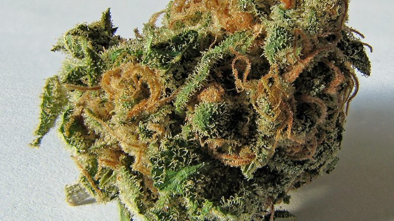 La Marijuana