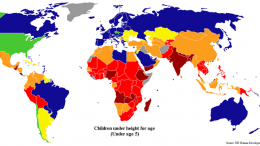 Globalizzazione parte dell'evoluzione?