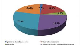 Composizione_PIL_Italia_2013