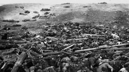 Nanjing, Massacre, (Itou, Kaneo's Album), massacro di nanchino