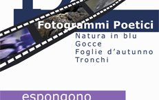 19 fotogrammi poetici