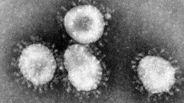 Coronaviruses_004_lores