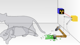 Il Paradosso del gatto di Schrodinger