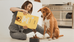 Sundays-Dog-Food-review